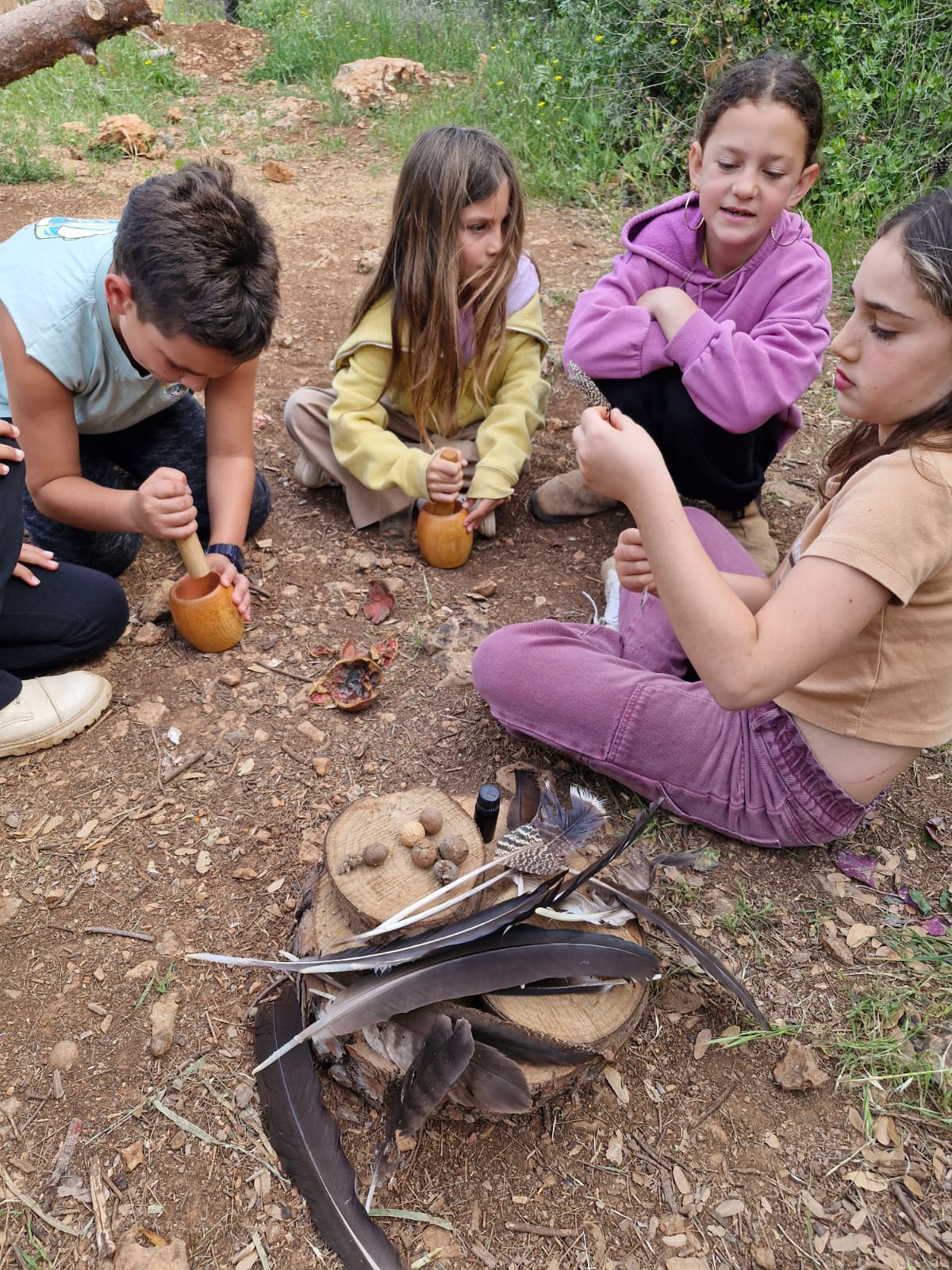אווירת יער 3